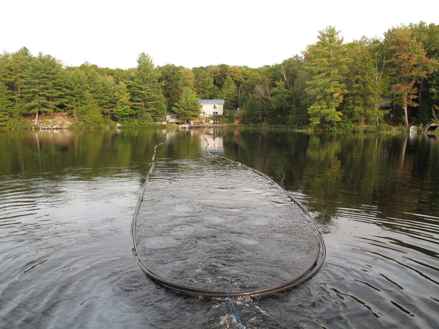 Coiled geothermal loop floating on a lake