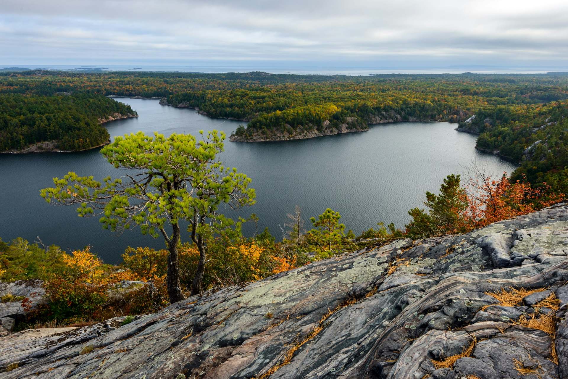 Calm lake among forested hills