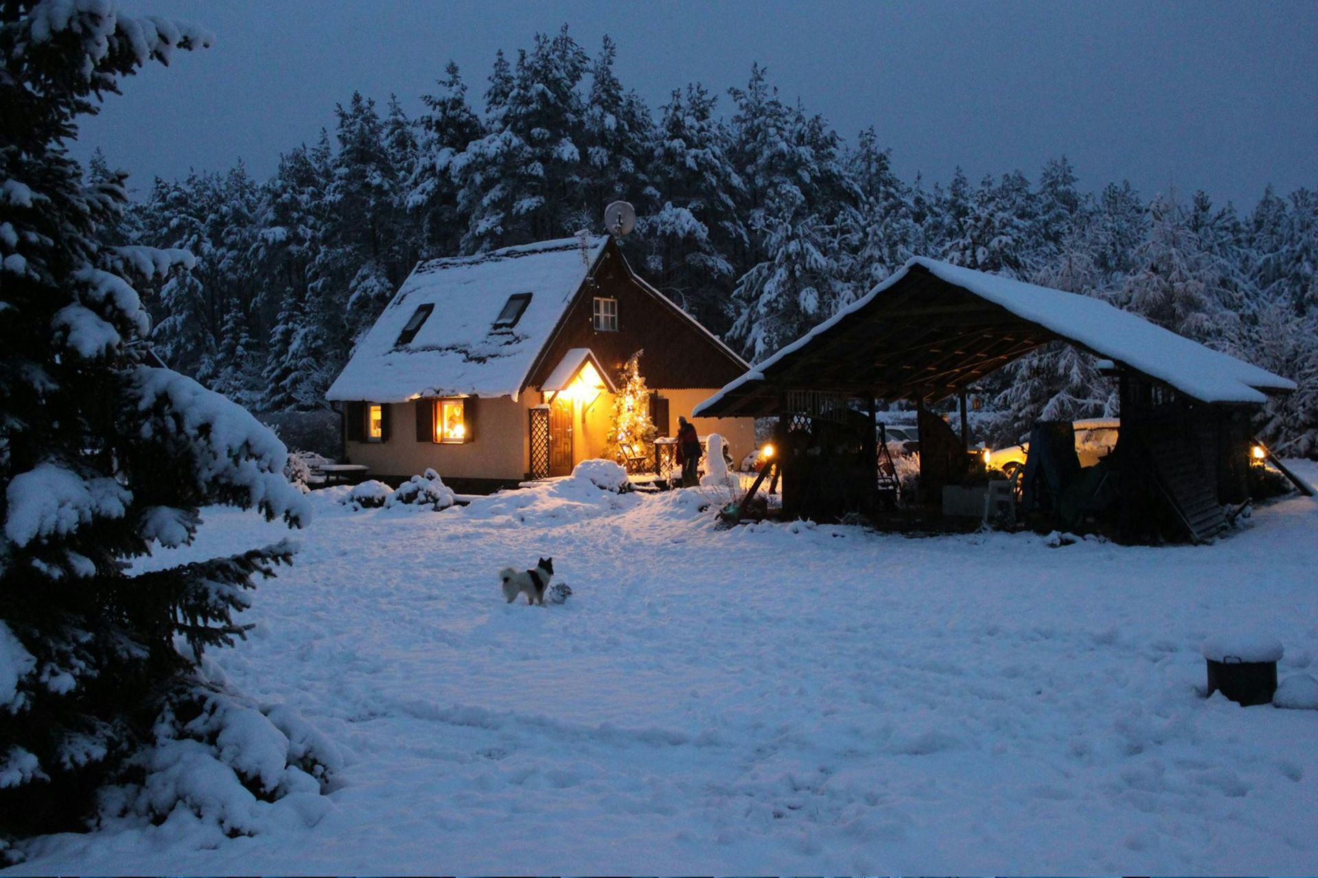 Houses with lit windows in deep snow at dusk